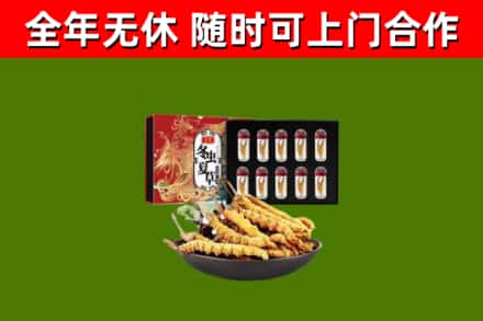 东乡区回收冬虫夏草价格